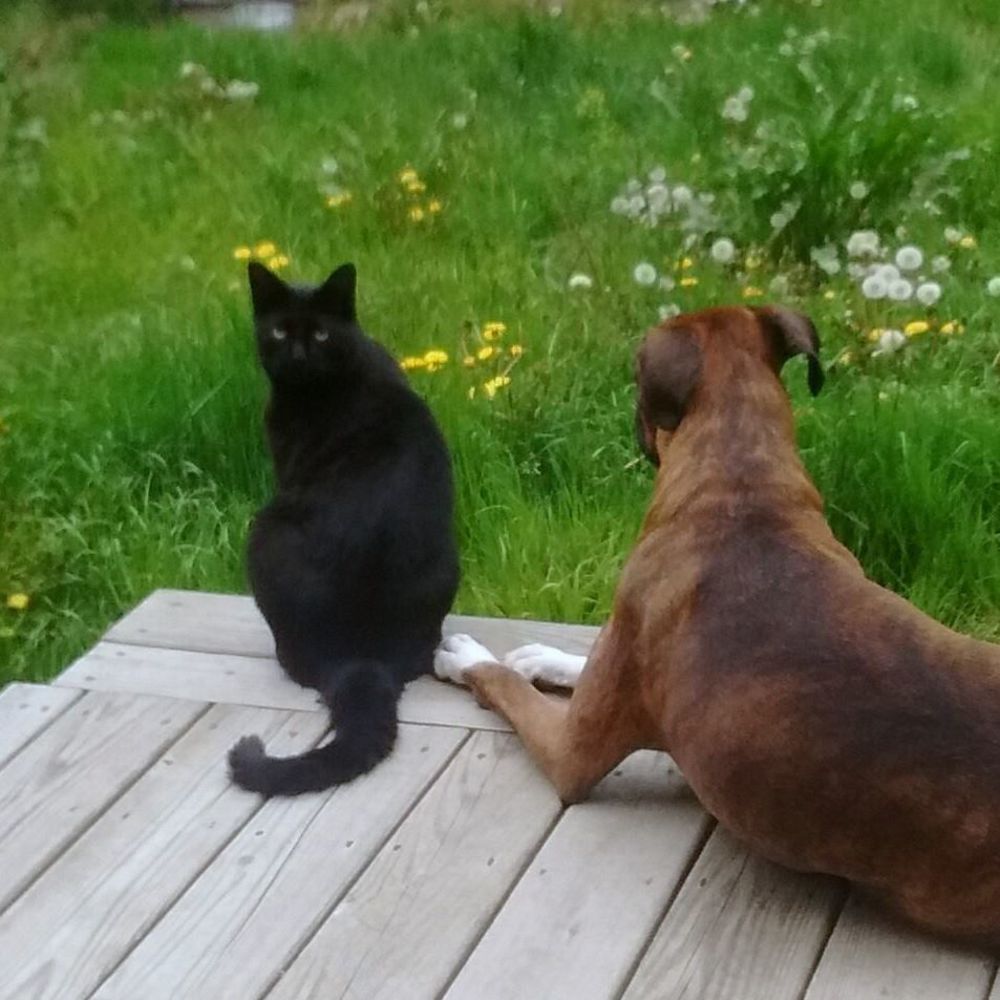 Meet your Posher, Carla